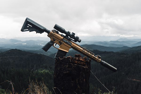 NOVESKE N6 RECEIVERS